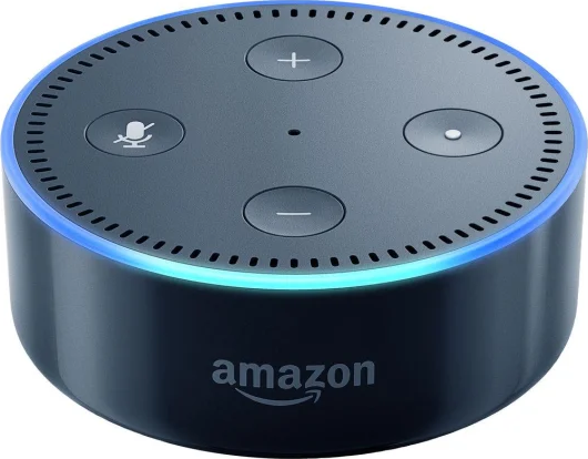 Amazon Echo Dot (S04WQR)